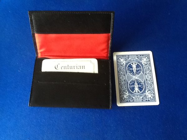 Small Leather Z Wallet.
